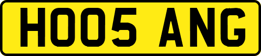 HO05ANG