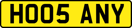 HO05ANY