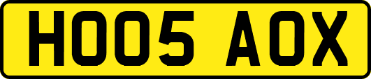 HO05AOX