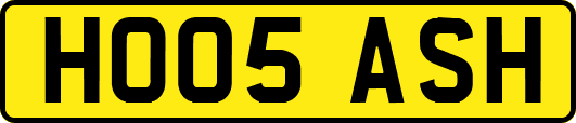HO05ASH