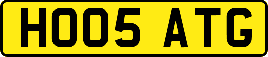 HO05ATG