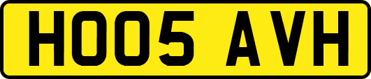 HO05AVH