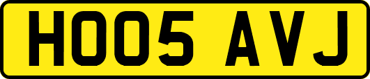 HO05AVJ