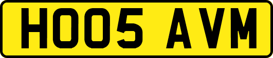 HO05AVM