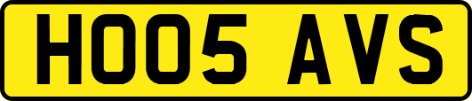 HO05AVS