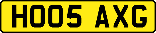 HO05AXG