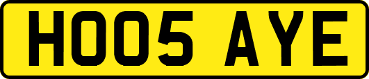 HO05AYE