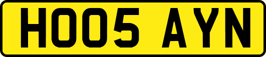 HO05AYN