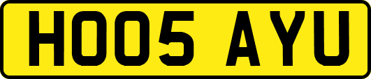 HO05AYU