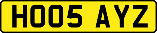 HO05AYZ
