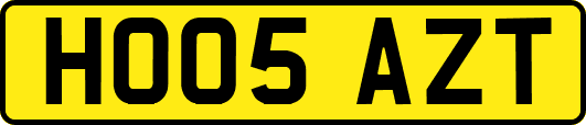 HO05AZT