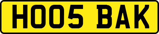 HO05BAK