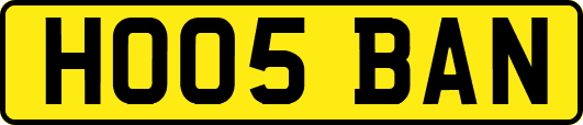 HO05BAN