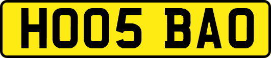 HO05BAO