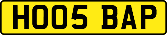 HO05BAP