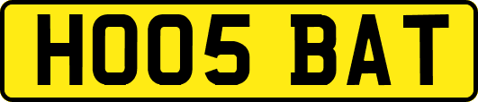 HO05BAT
