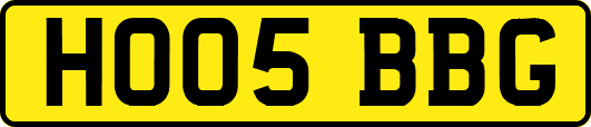 HO05BBG