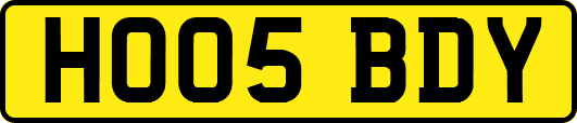 HO05BDY