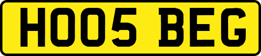 HO05BEG