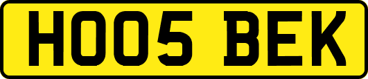 HO05BEK