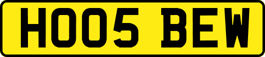 HO05BEW