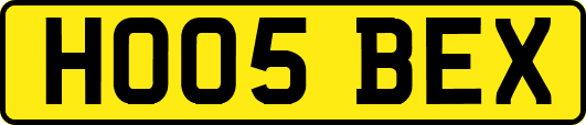 HO05BEX