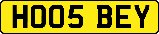 HO05BEY