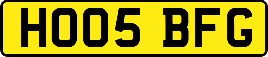 HO05BFG