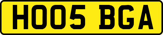 HO05BGA