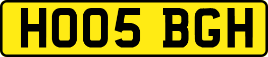 HO05BGH