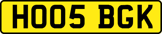 HO05BGK