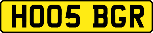 HO05BGR