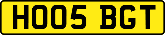 HO05BGT