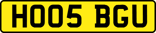 HO05BGU