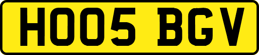 HO05BGV