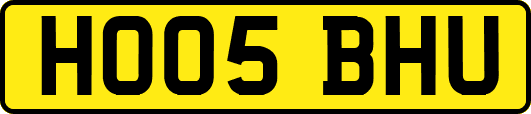 HO05BHU