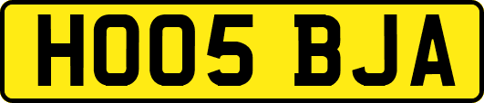 HO05BJA