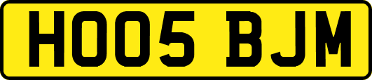HO05BJM