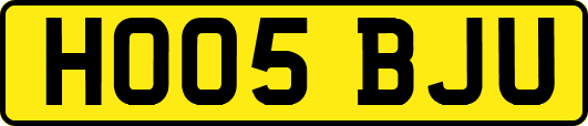 HO05BJU