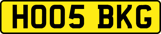 HO05BKG