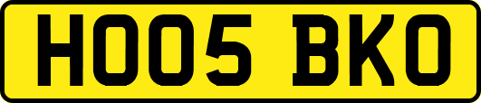 HO05BKO