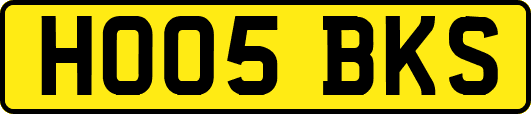 HO05BKS