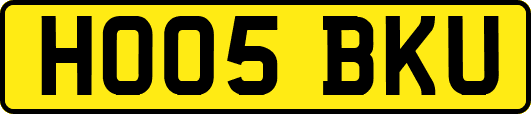 HO05BKU
