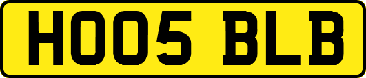HO05BLB