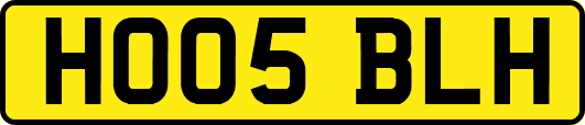 HO05BLH