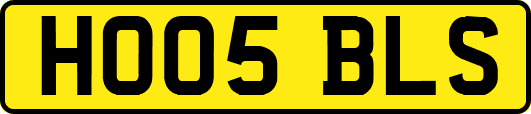HO05BLS