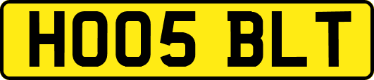 HO05BLT