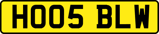 HO05BLW