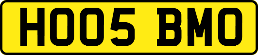 HO05BMO