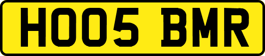 HO05BMR